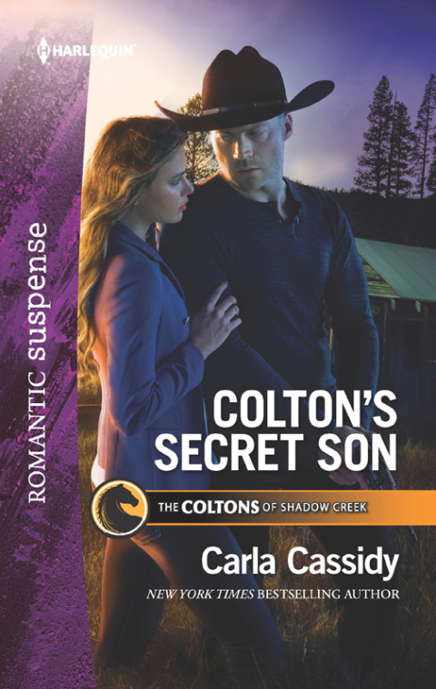 Cover image for book Colton's Secret Son