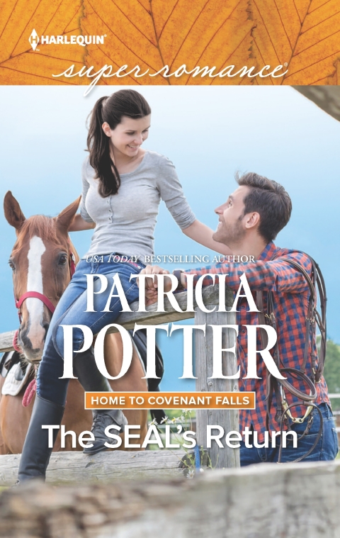 Cover image for book The SEAL's Return