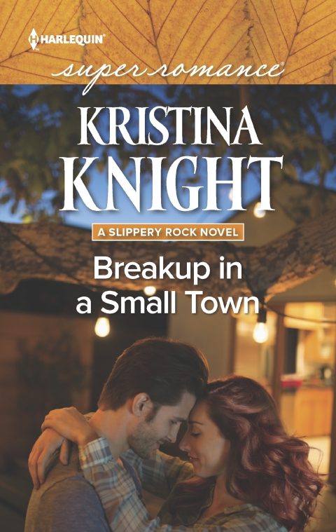 Cover image for book Breakup in a Small Town