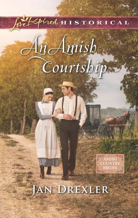 Cover image for book An Amish Courtship