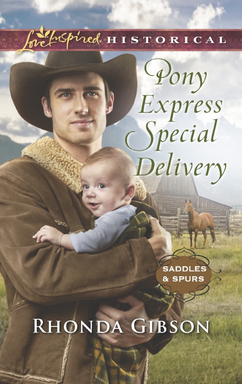 Cover image for book Pony Express Special Delivery