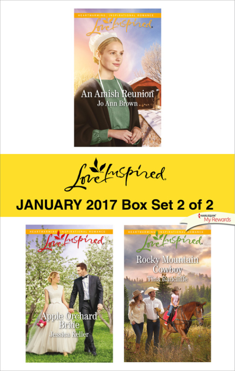 Cover image for book Harlequin Love Inspired January 2017-Box Set 2 of 2