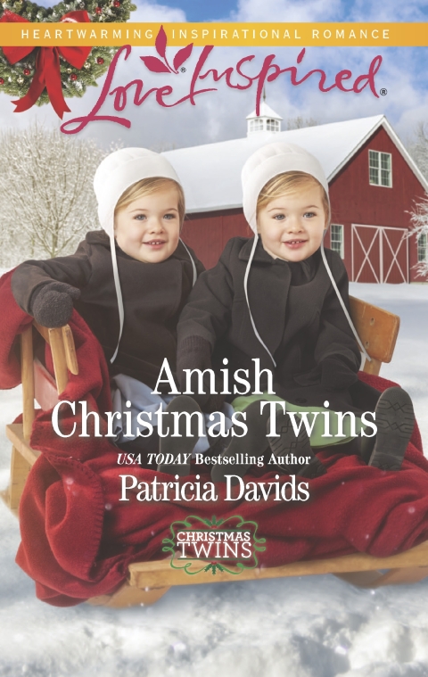 Cover image for book Amish Christmas Twins