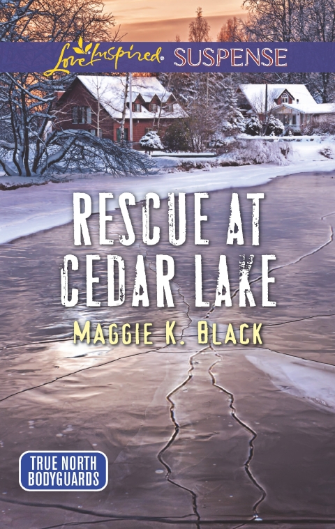 Cover image for book Rescue at Cedar Lake