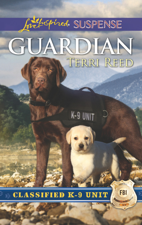 Cover image for book Guardian