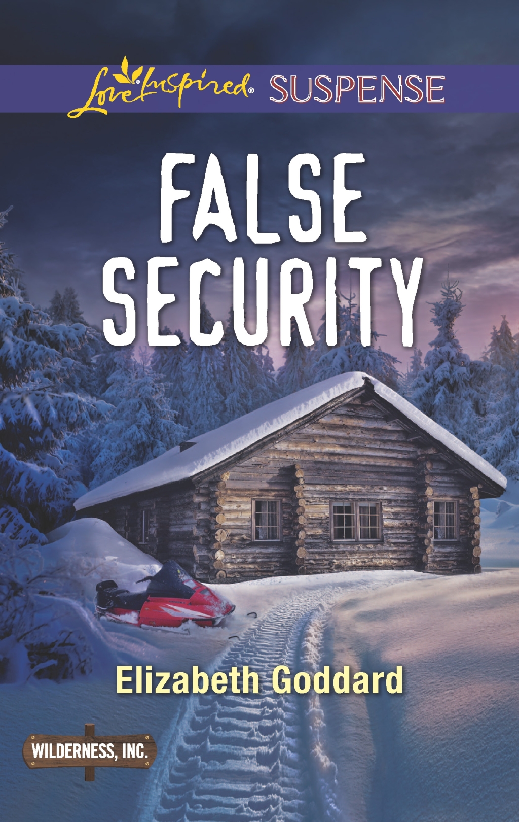 False Security (eBook)