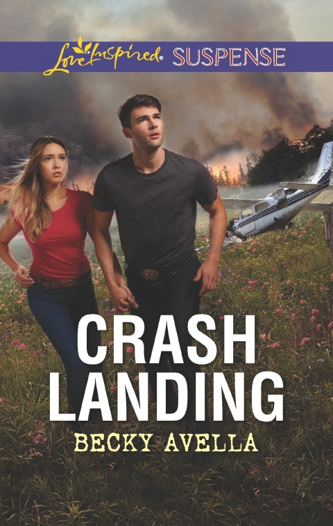 Cover image for book Crash Landing