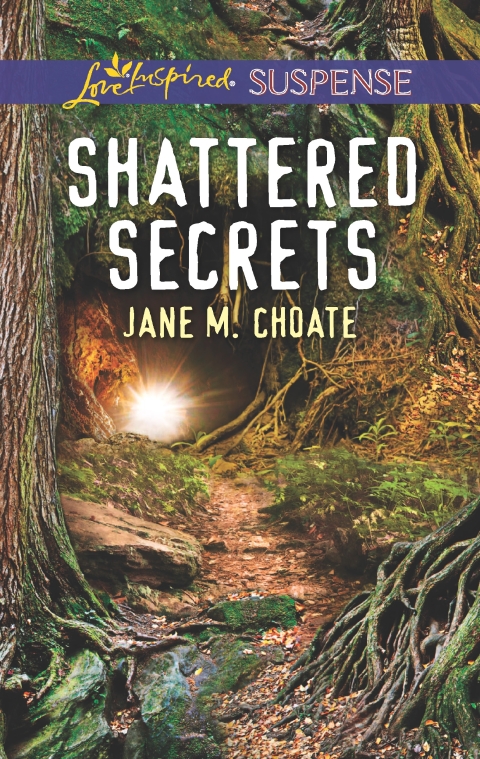 Cover image for book Shattered Secrets