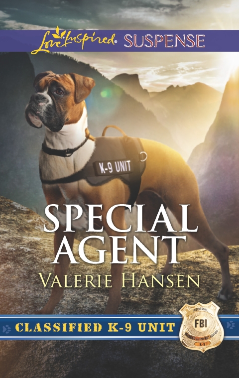 Cover image for book Special Agent