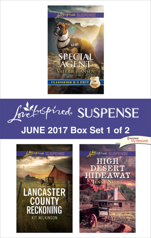 Cover image for book Harlequin Love Inspired Suspense June 2017 - Box Set 1 of 2
