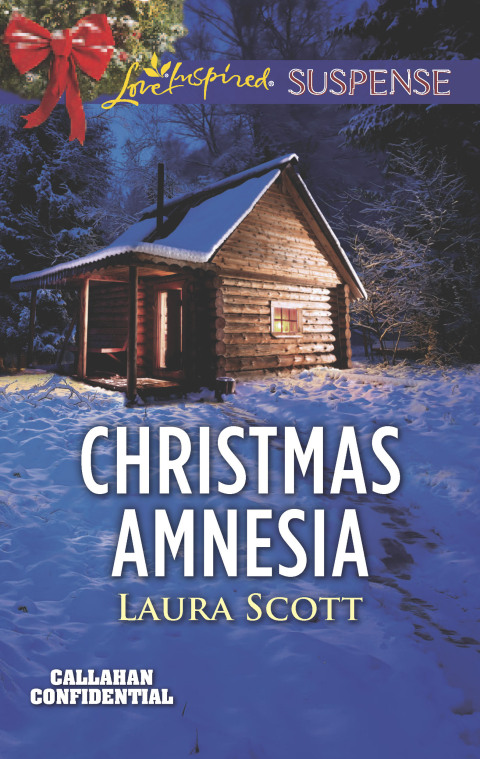 Cover image for book Christmas Amnesia