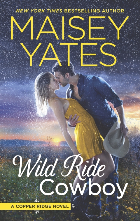 Cover image for book Wild Ride Cowboy
