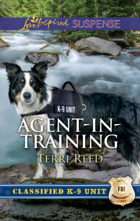Cover image for book Agent-in-Training