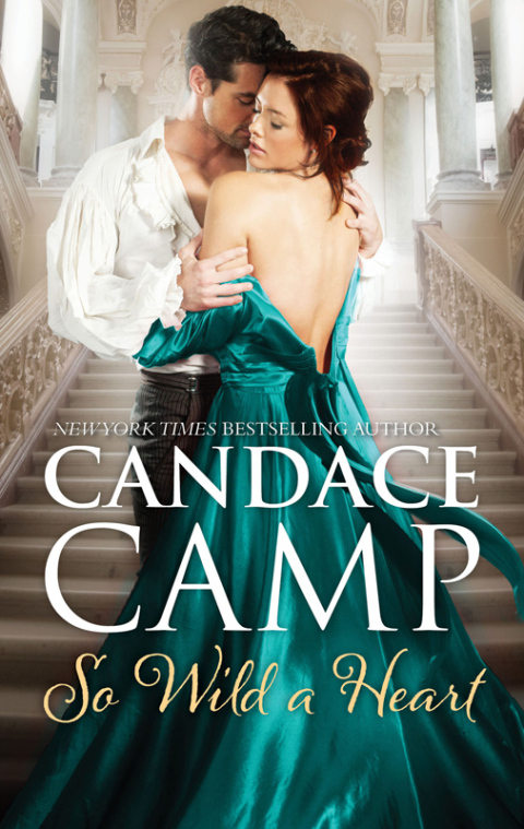 Cover image for book So Wild a Heart