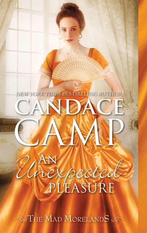 Cover image for book An Unexpected Pleasure