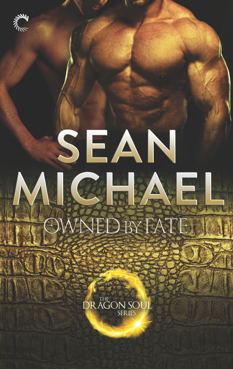 Cover image for book Owned by Fate