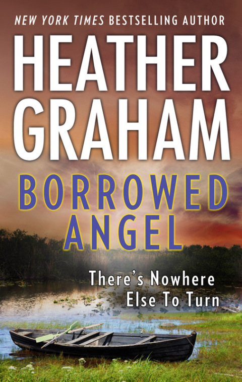 Cover image for book Borrowed Angel