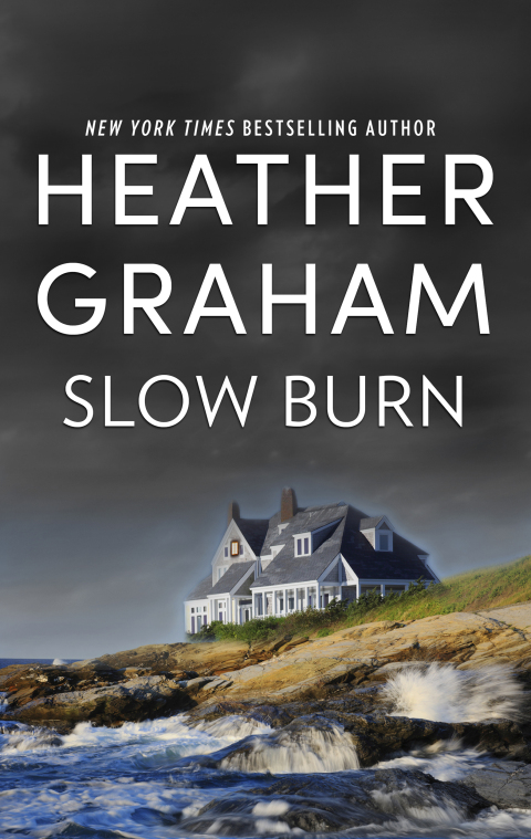 Cover image for book Slow Burn