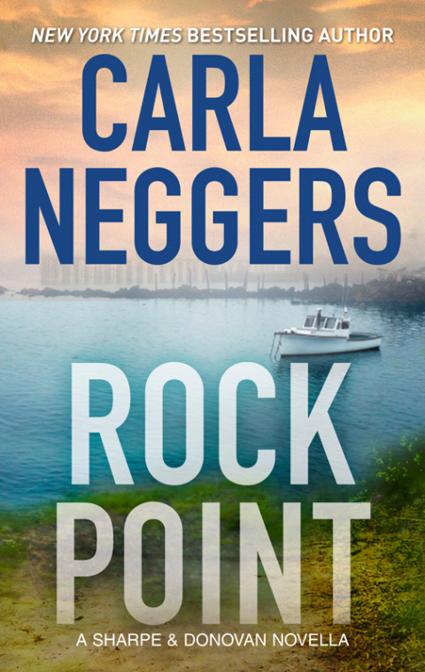 Cover image for book Rock Point: A Sharpe & Donovan Series Prequel Novella