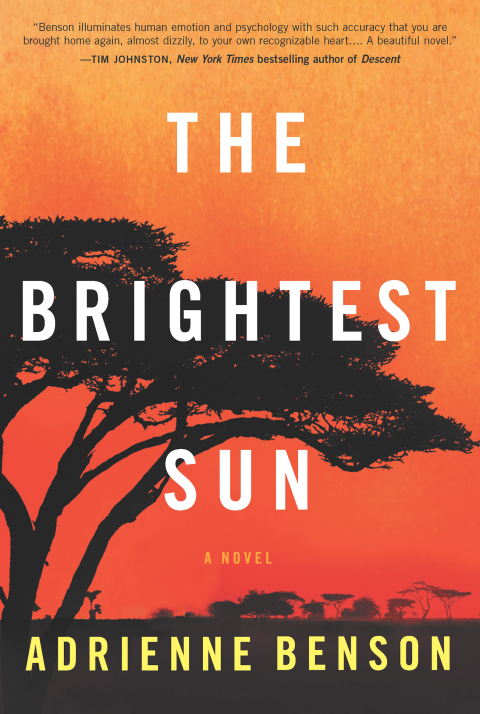 Cover image for book The Brightest Sun