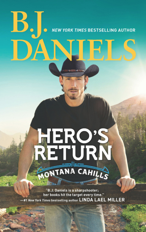 Cover image for book Hero's Return