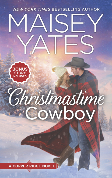 Cover image for book Christmastime Cowboy