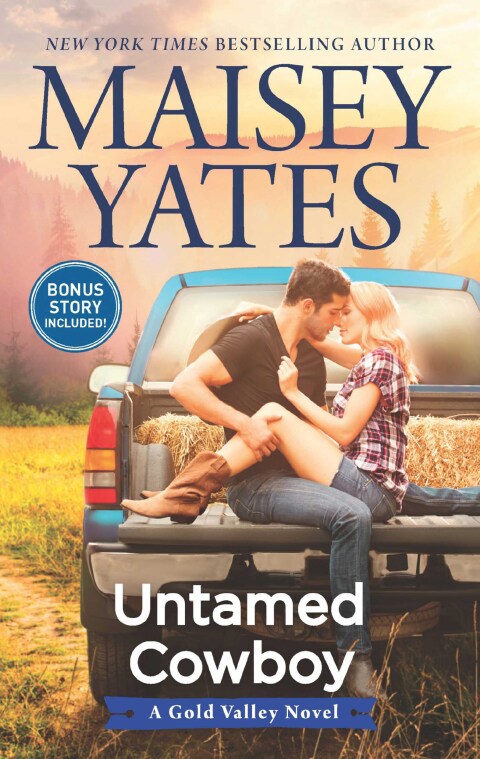 Cover image for book Untamed Cowboy