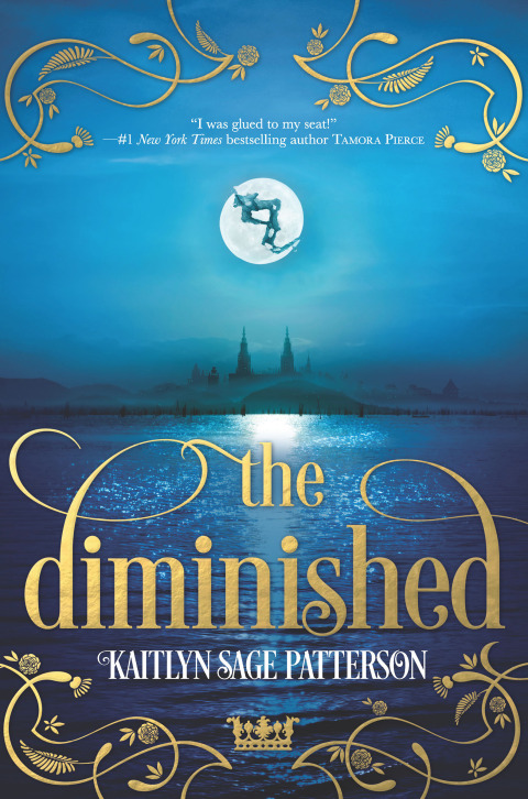 Cover image for book The Diminished