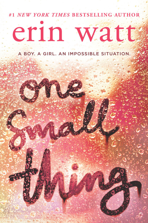 Cover image for book One Small Thing