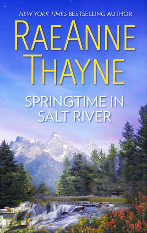 Cover image for book Springtime in Salt River