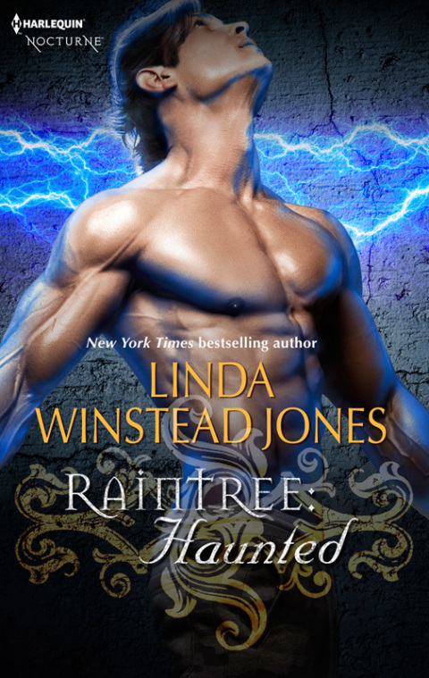 Cover image for book Raintree: Haunted