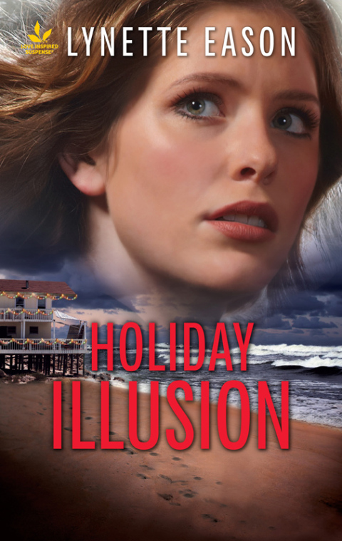 Cover image for book Holiday Illusion