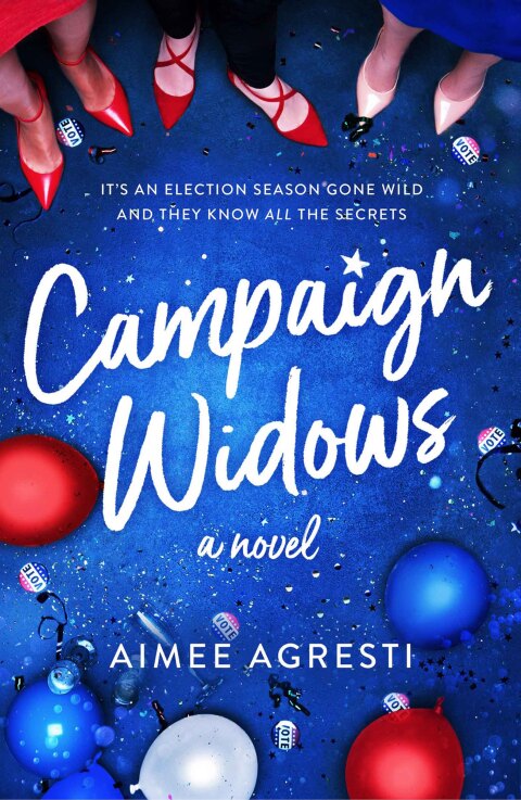 Cover image for book Campaign Widows
