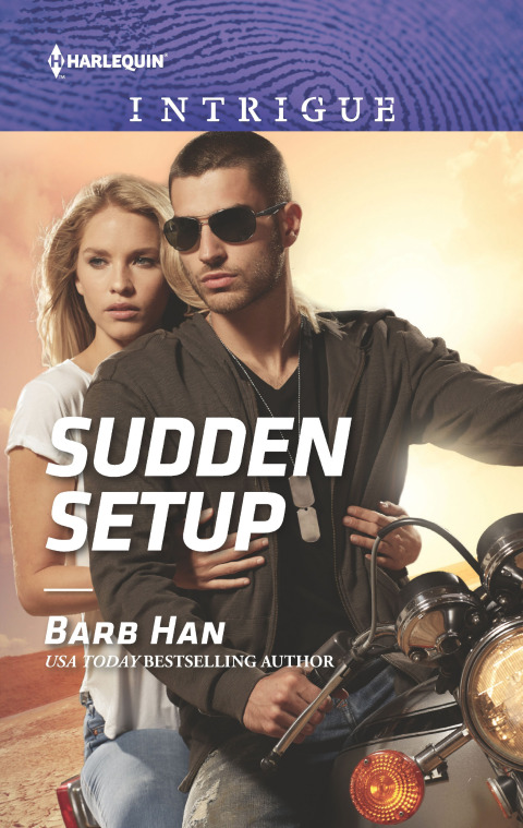 Cover image for book Sudden Setup
