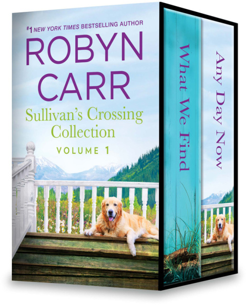 Cover image for book Sullivan's Crossing Collection Volume 1