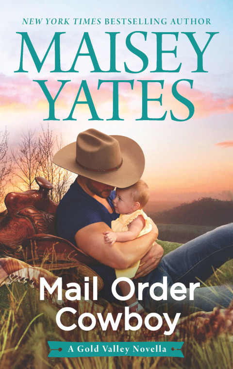 Cover image for book Mail Order Cowboy