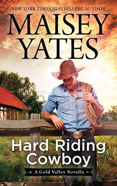 Cover image for book Hard Riding Cowboy