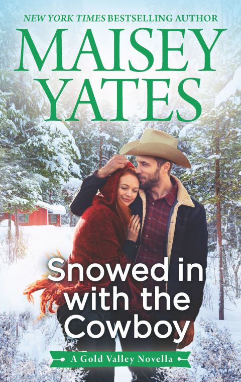 Cover image for book Snowed in with the Cowboy