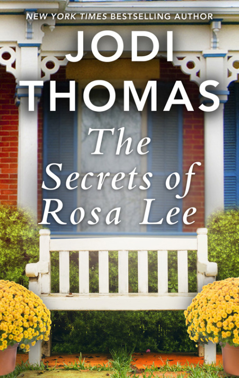 Cover image for book The Secrets of Rosa Lee