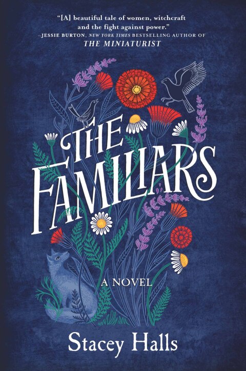 Cover image for book The Familiars