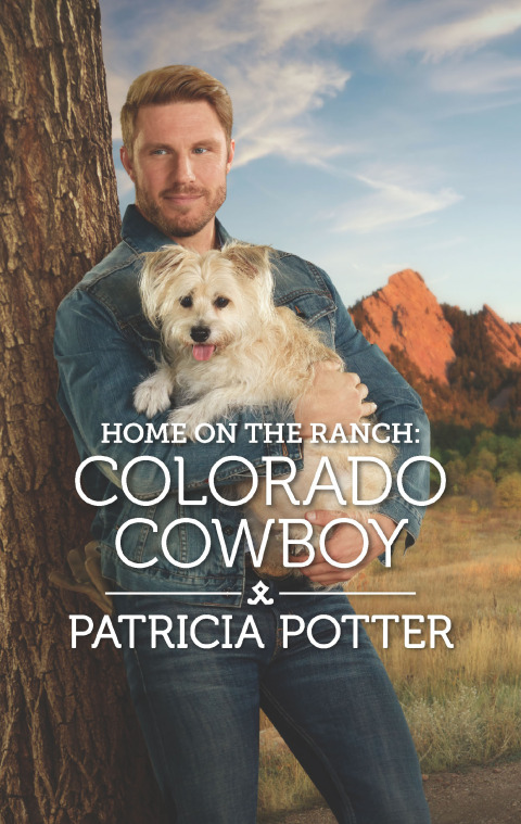 Cover image for book Home on the Ranch: Colorado Cowboy