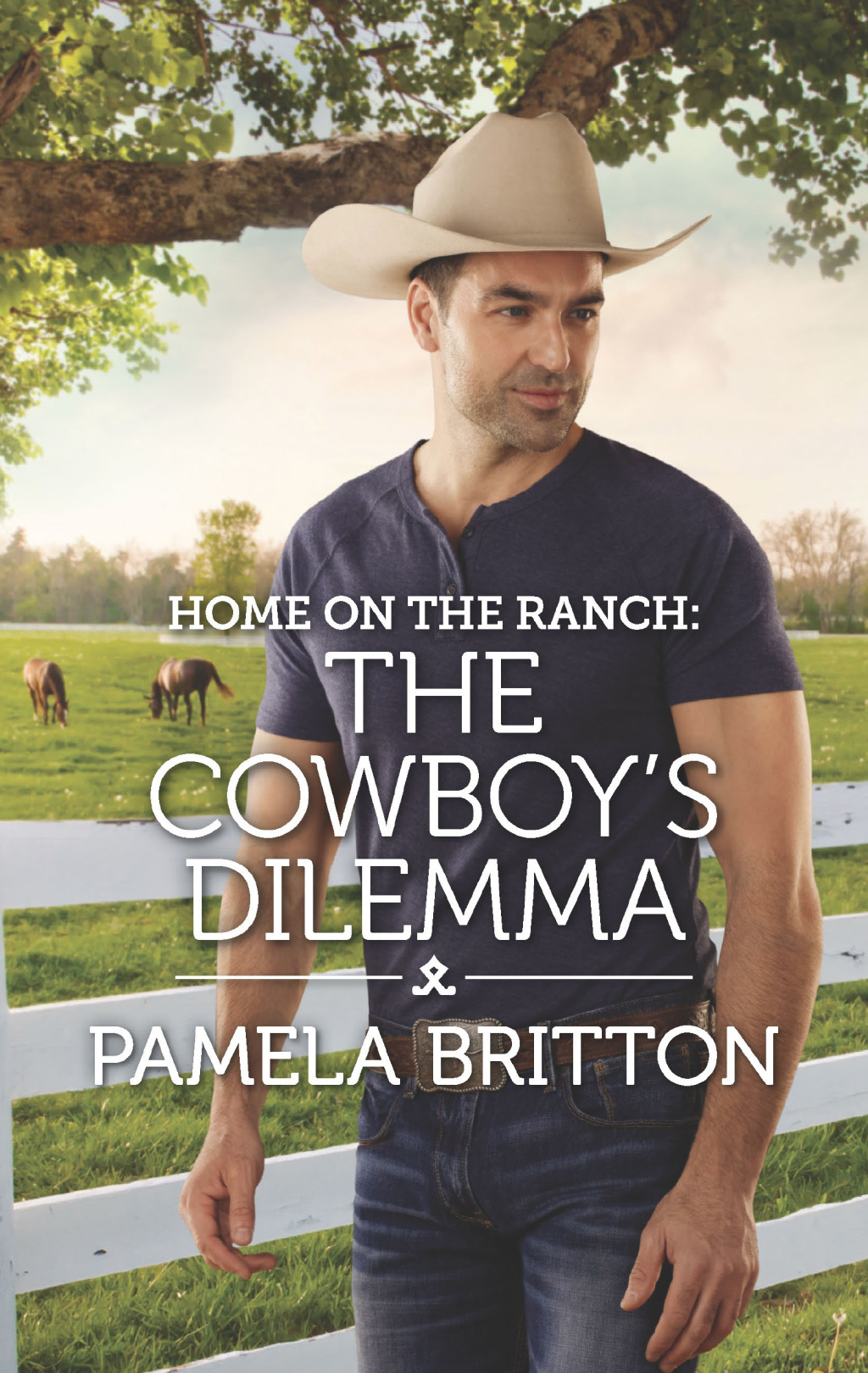Reflowable Home on the Ranch: The Cowboy's Dilemma; $4.43