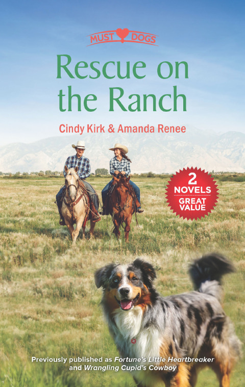 Cover image for book Rescue on the Ranch