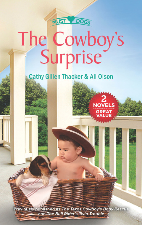 Cover image for book The Cowboy's Surprise