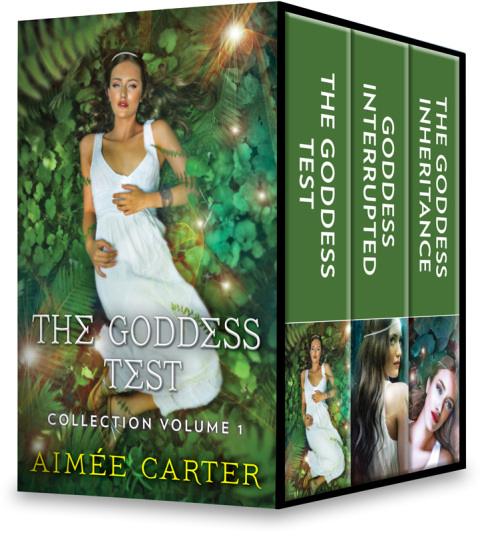 Cover image for book The Goddess Test Collection Volume 1