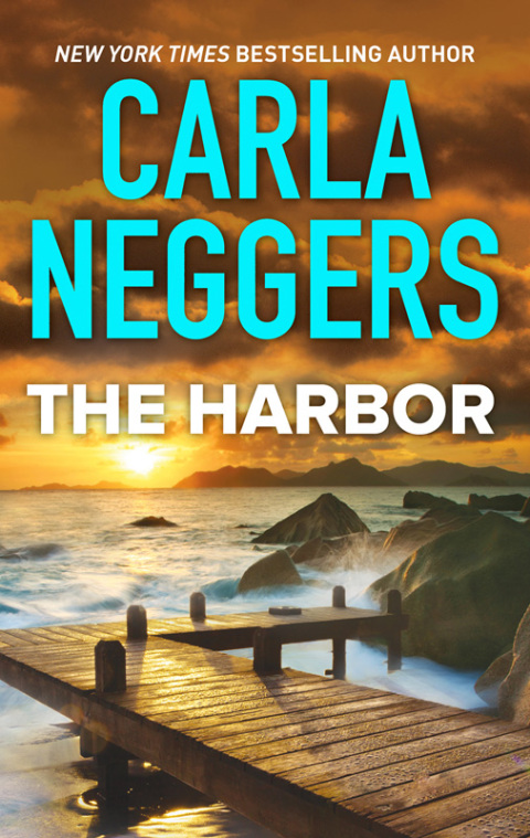 Cover image for book The Harbor