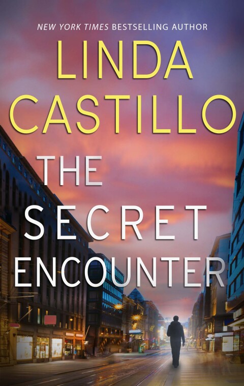 Cover image for book The Secret Encounter