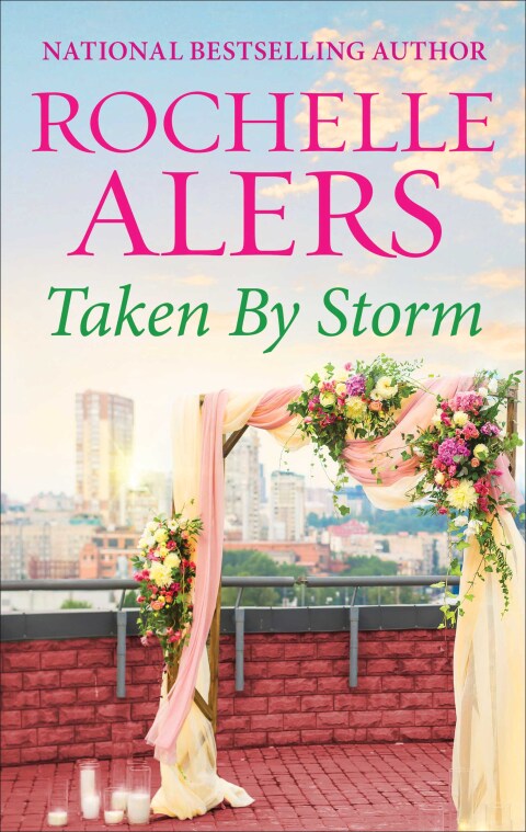 Cover image for book Taken by Storm
