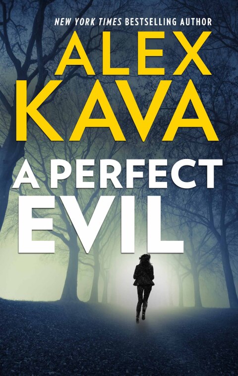 Cover image for book A Perfect Evil