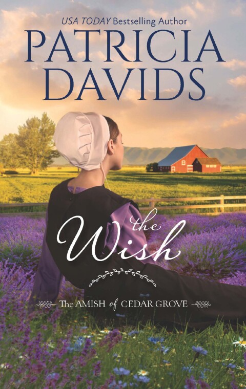Cover image for book The Wish